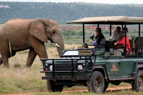 Amakhala Safari Lodge Paterson Exterior foto